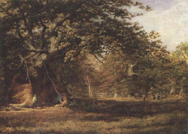 Alfred wilson cox The Woodmans'Bower,Birkland,Sherwood Forest (mk37) oil painting picture
